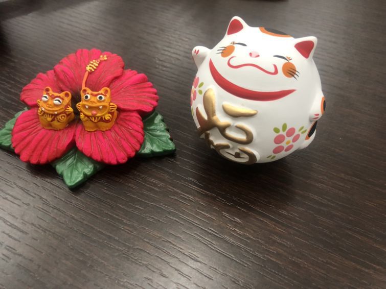 新しい仲間が増えました