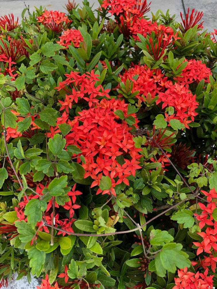 iTeenはオーダーメイド型のカリキュラム！