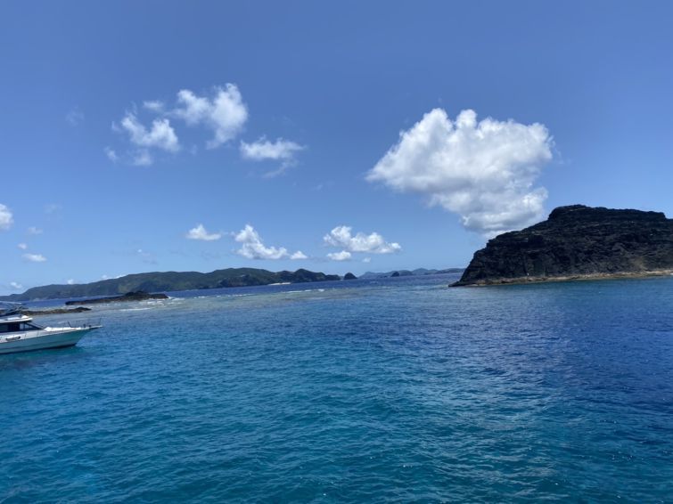 算数が苦手！？もしかしたら数学は得意になるかも？！