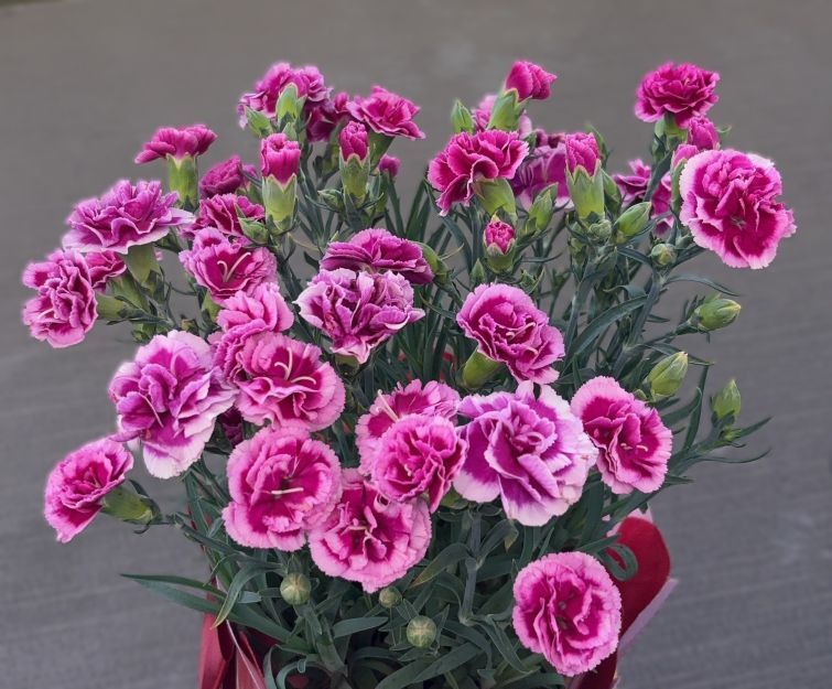 【実話】学習の履歴と“積み上げた力”