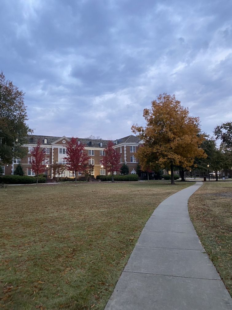 オーストラリアー 一律ではなく、”個別最適化”＋”公立校での支援”を重視