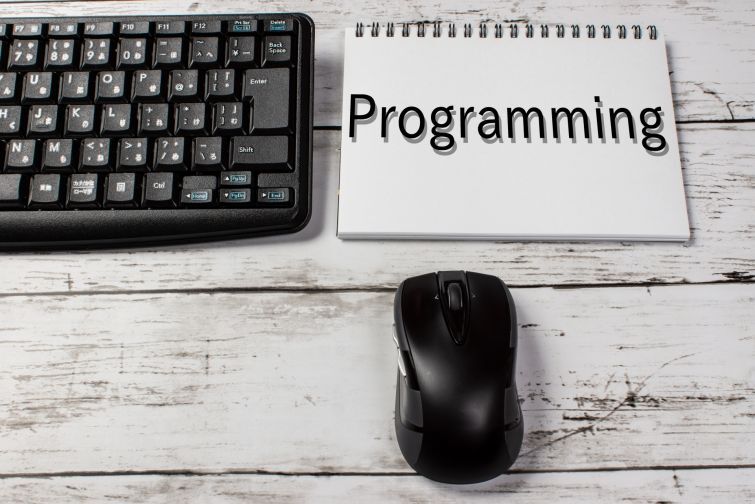 プログラミング無しでは生きてゆけない！コンピュータ世界の住人になろう！